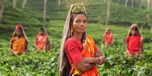 Read more about the article Women Empowerment and Employment